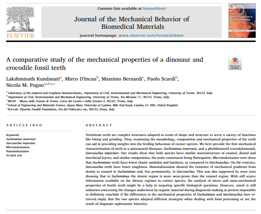 A comparative study of the mechanical properties of a dinosaur